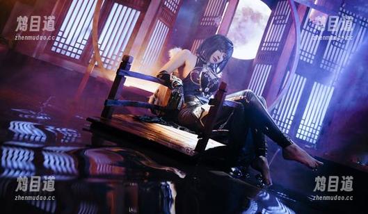 秋和柯基带你探险午夜蓝世界，图包好奇心爆棚呀！