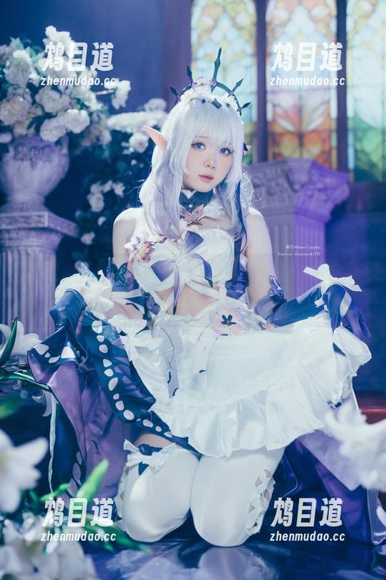 霜月shimo的可爱反击：雷姆女仆装合集，看小女仆如何打破你的防线！